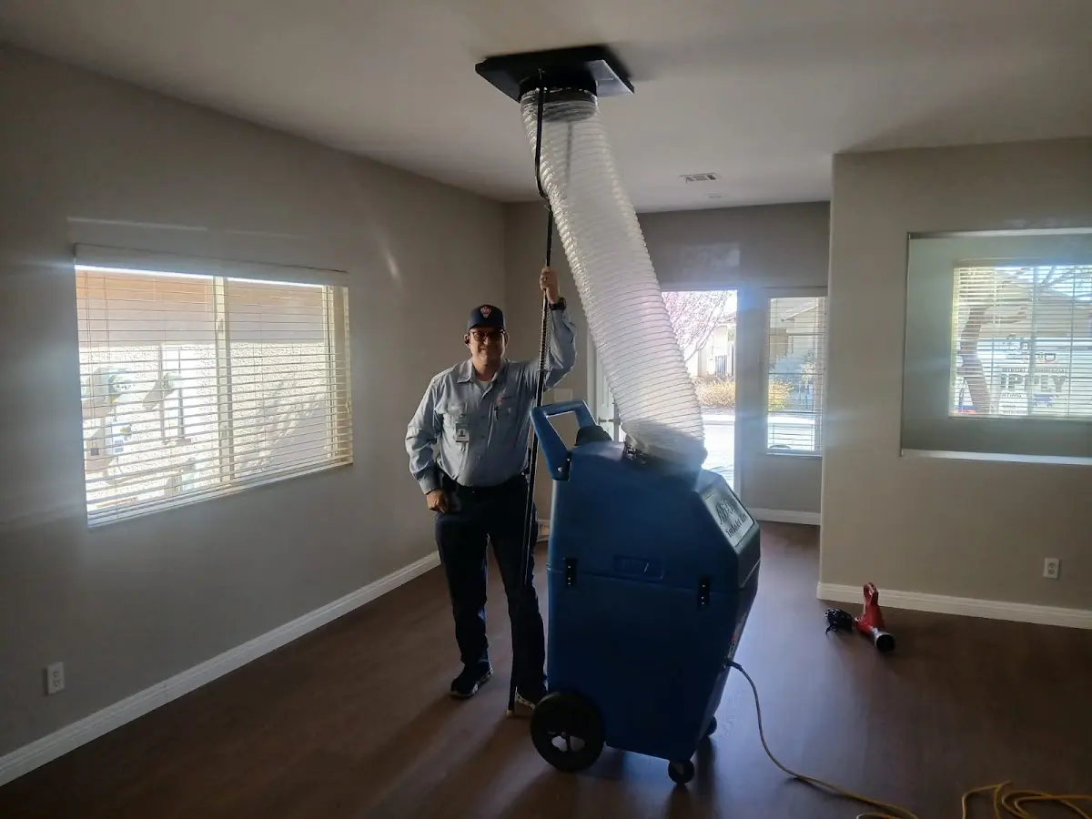 Professional Dryer Vent Cleaning work inside a Covedale home